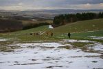 ssv-urbar-winterwanderung-2011-16