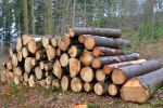 ssv-urbar-winterwanderung-2018-15