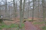 ssv-urbar-winterwanderung-2020-06