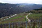 ssv-urbar-winterwanderung-2016-05