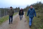ssv-urbar-winterwanderung-2016-16