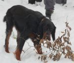 ssv-urbar-winterwanderung-2010-06