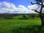 ssv-urbar-mai-wanderung-02