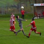 2023-04-28-sgbraunshorn2-sgwerlau-01